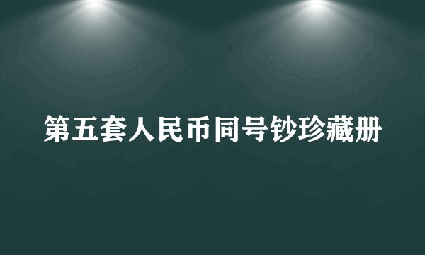 第五套人民币同号钞珍藏册