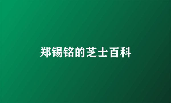 郑锡铭的芝士百科