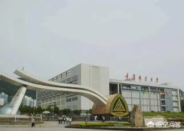 重庆邮电大学怎么样？