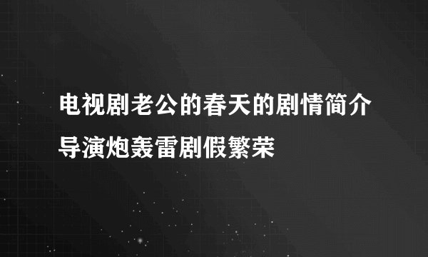 电视剧老公的春天的剧情简介导演炮轰雷剧假繁荣
