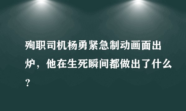 殉职司机杨勇紧急制动画面出炉，他在生死瞬间都做出了什么？