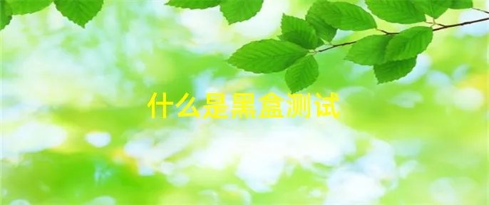 什么是黑盒测试