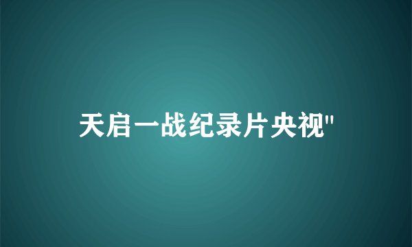 天启一战纪录片央视