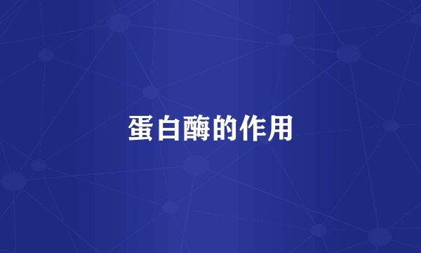 蛋白酶的作用