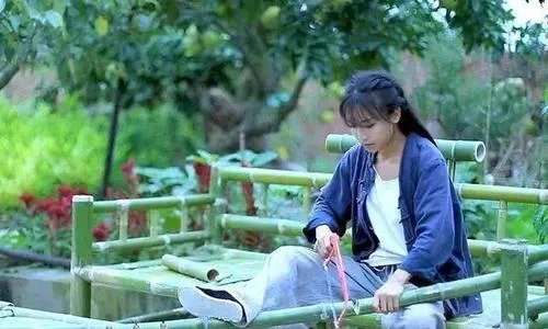 李子柒刷新吉尼斯世界纪录,为何大家这么喜欢李子柒?