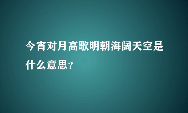 今宵对月高歌明朝海阔天空是什么意思？