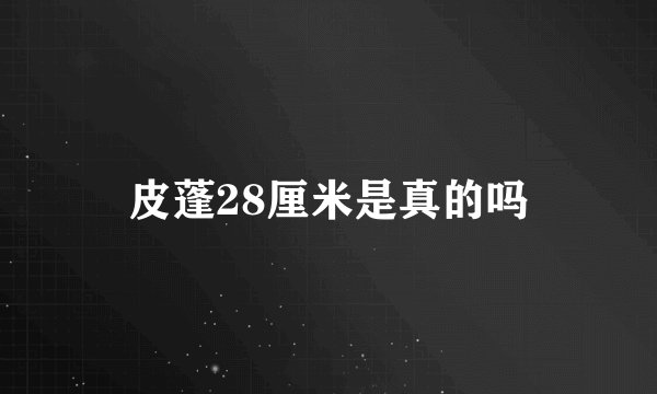 皮蓬28厘米是真的吗