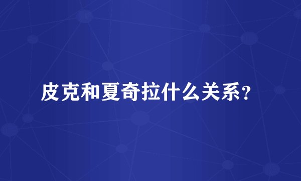 皮克和夏奇拉什么关系？
