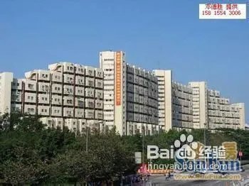 深圳美食攻略