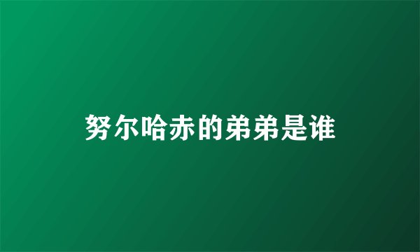 努尔哈赤的弟弟是谁