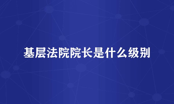 基层法院院长是什么级别