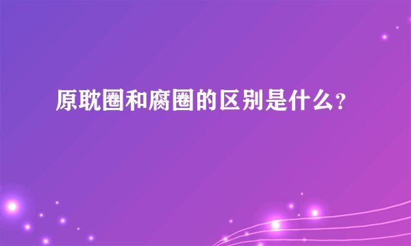 原耽圈和腐圈的区别是什么？