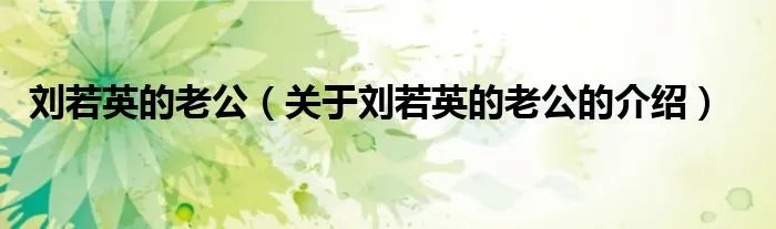 刘若英的老公（关于刘若英的老公的介绍）