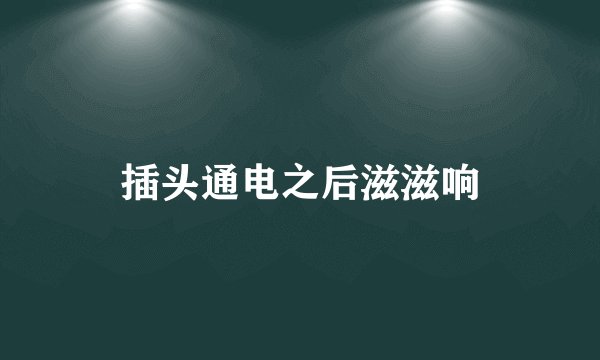 插头通电之后滋滋响