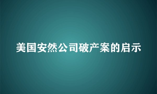 美国安然公司破产案的启示