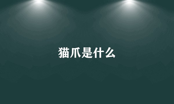 猫爪是什么