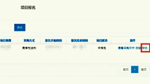 上海市政府采购网上的招标怎么网上投标?
