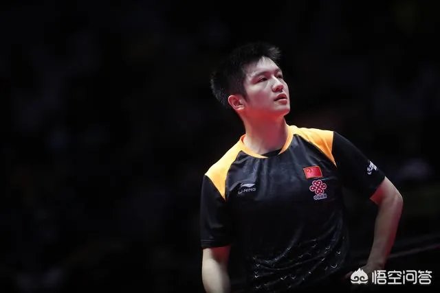 樊振东李子君