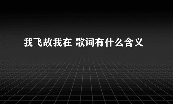 我飞故我在 歌词有什么含义