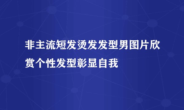 非主流短发烫发发型男图片欣赏个性发型彰显自我