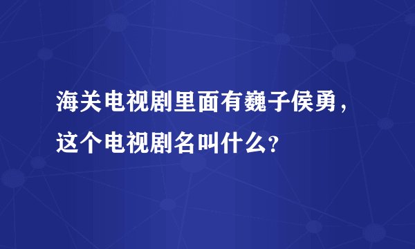 海关电视剧里面有巍子侯勇，这个电视剧名叫什么？