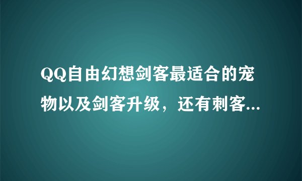 QQ自由幻想剑客最适合的宠物以及剑客升级，还有刺客如何带天？