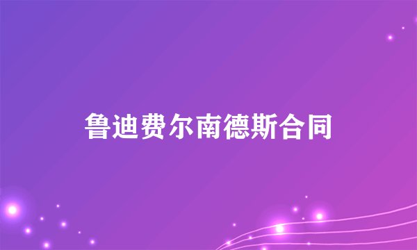 鲁迪费尔南德斯合同