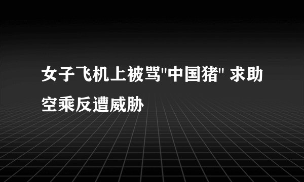 女子飞机上被骂
