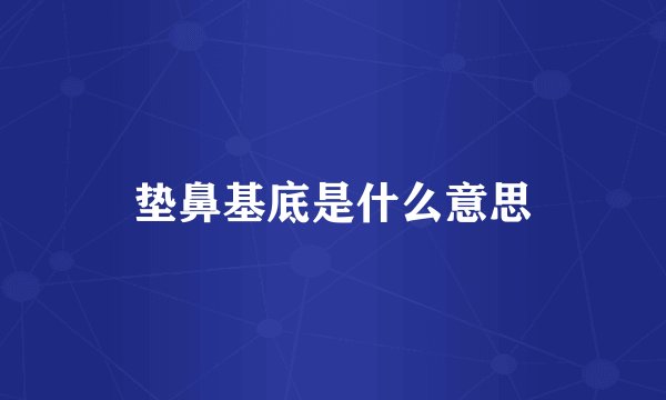 垫鼻基底是什么意思