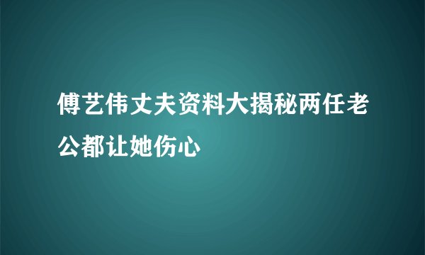 傅艺伟丈夫资料大揭秘两任老公都让她伤心