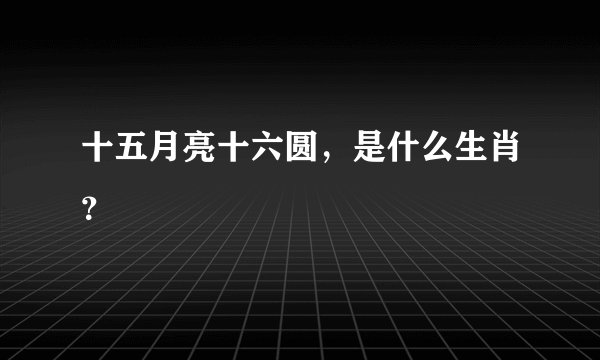 十五月亮十六圆，是什么生肖？