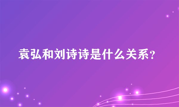 袁弘和刘诗诗是什么关系？