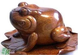 蟾蜍有什么寓意?为什么蟾蜍被寓意为招财?