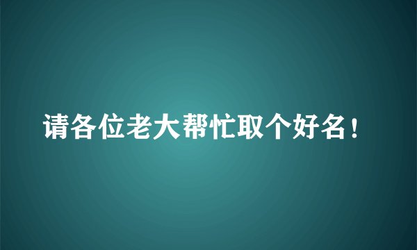 请各位老大帮忙取个好名！