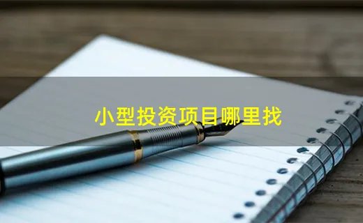 小型投资项目哪里找