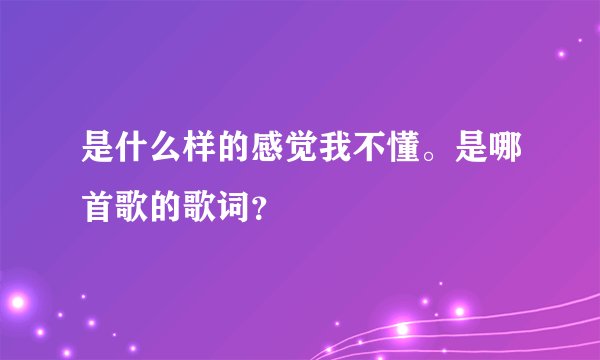 是什么样的感觉我不懂。是哪首歌的歌词？
