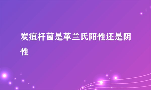 炭疽杆菌是革兰氏阳性还是阴性