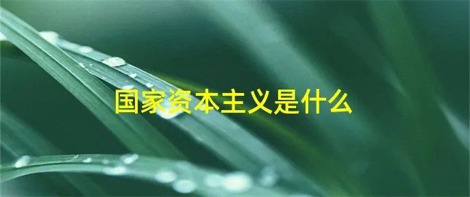 国家资本主义是什么