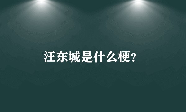 汪东城是什么梗？