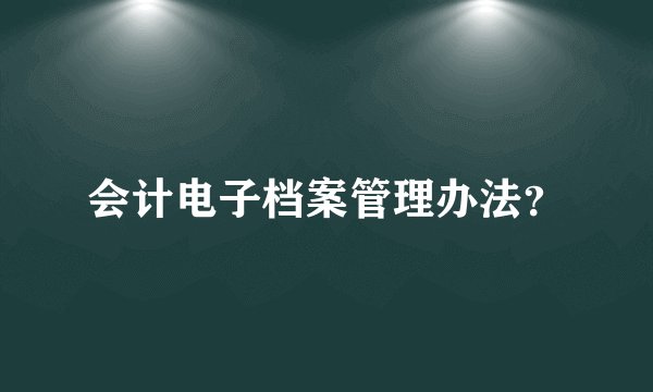 会计电子档案管理办法？