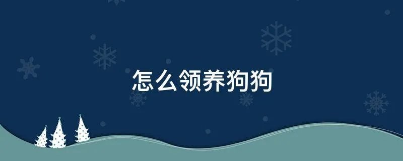 怎么领养狗狗
