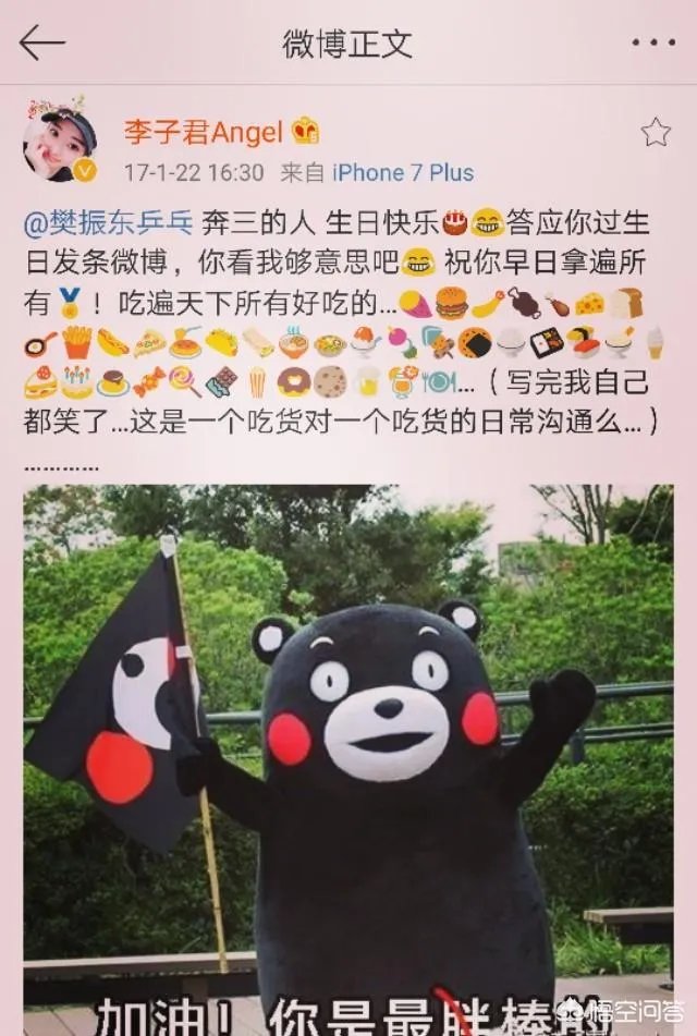 樊振东李子君