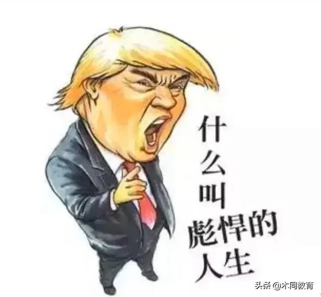 特朗普做了什么,让胡锡进隔空怒怼?