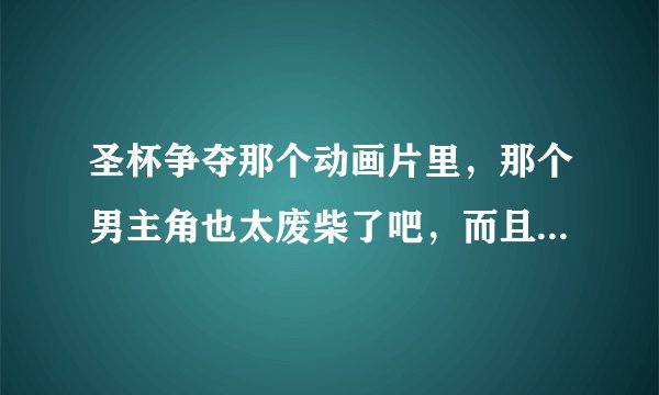 圣杯争夺那个动画片里，那个男主角也太废柴了吧，而且脑子绝对被门挤过，太二了…