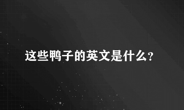 这些鸭子的英文是什么？