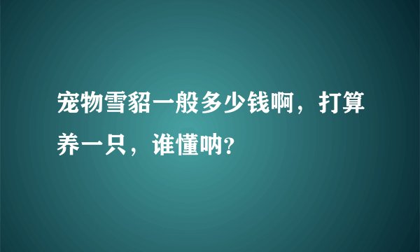 宠物雪貂一般多少钱啊，打算养一只，谁懂呐？