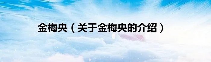 金梅央（关于金梅央的介绍）
