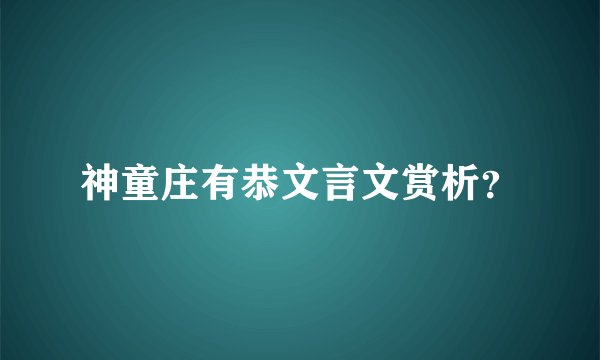 神童庄有恭文言文赏析？