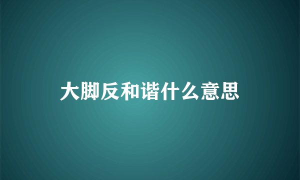 大脚反和谐什么意思