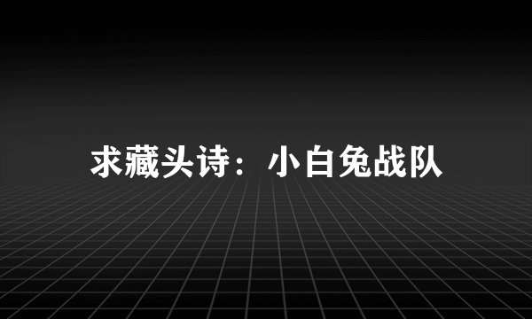 求藏头诗：小白兔战队